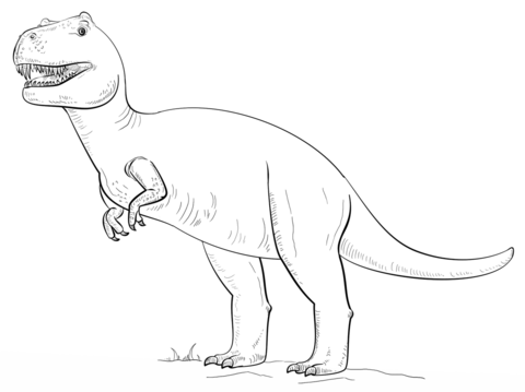 Tyranossaurus Rex Coloring Page